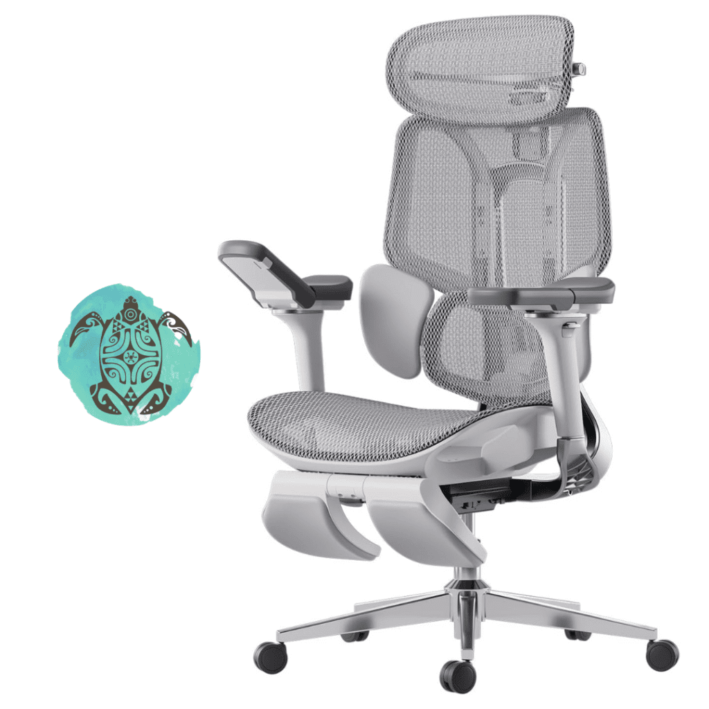 Hbada - Ergonomic Office Chair