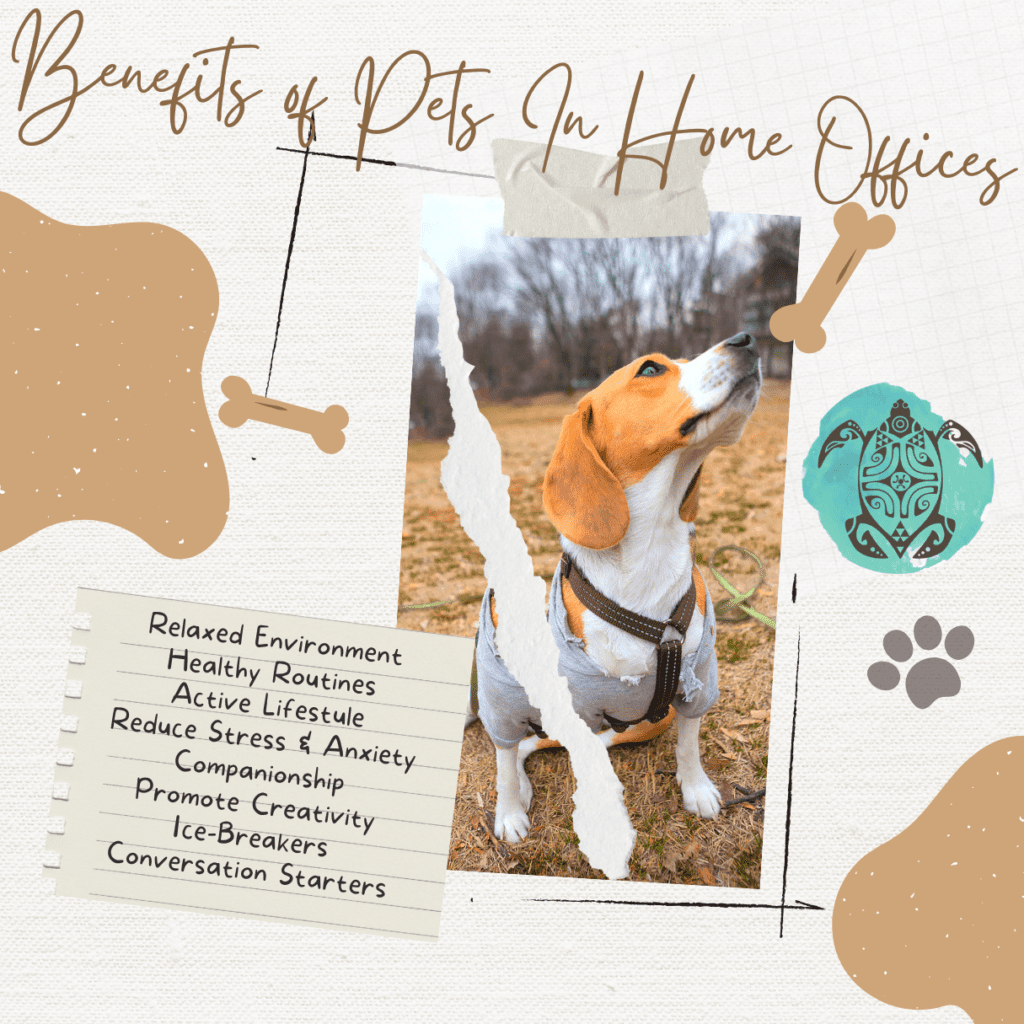 Benefits of Pet Friendly Offices at Home